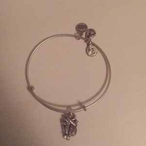 Alex and Ani saddle